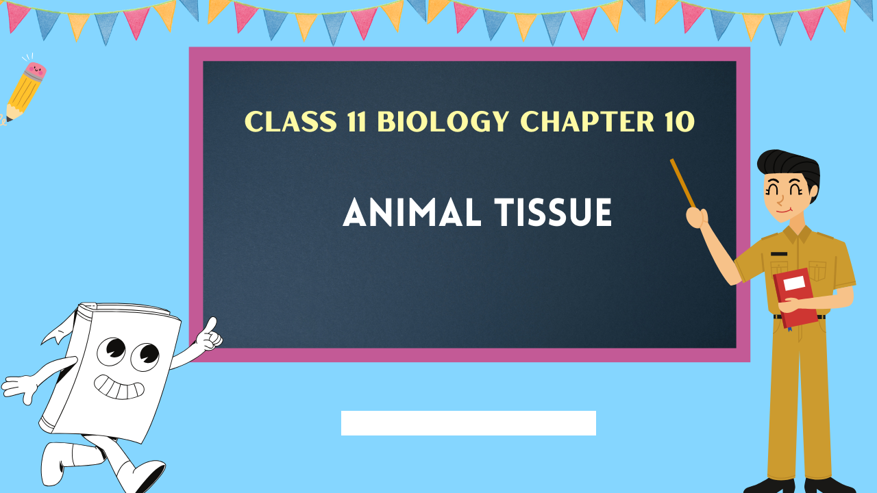 Class-11-Biology-Chapter-10