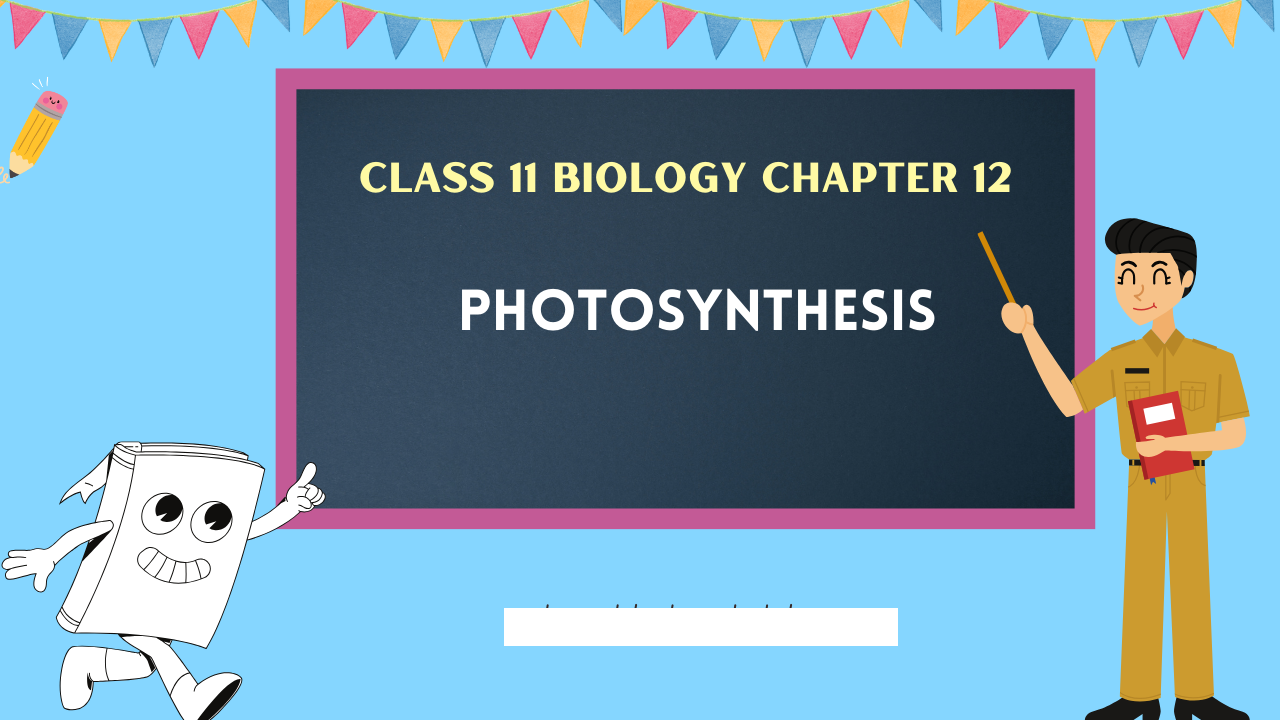 Class-11-Biology-Chapter-12