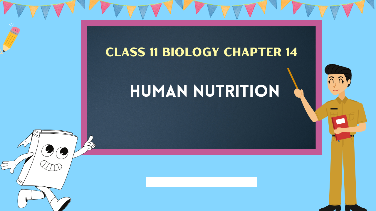 Class-11-Biology-Chapter-14