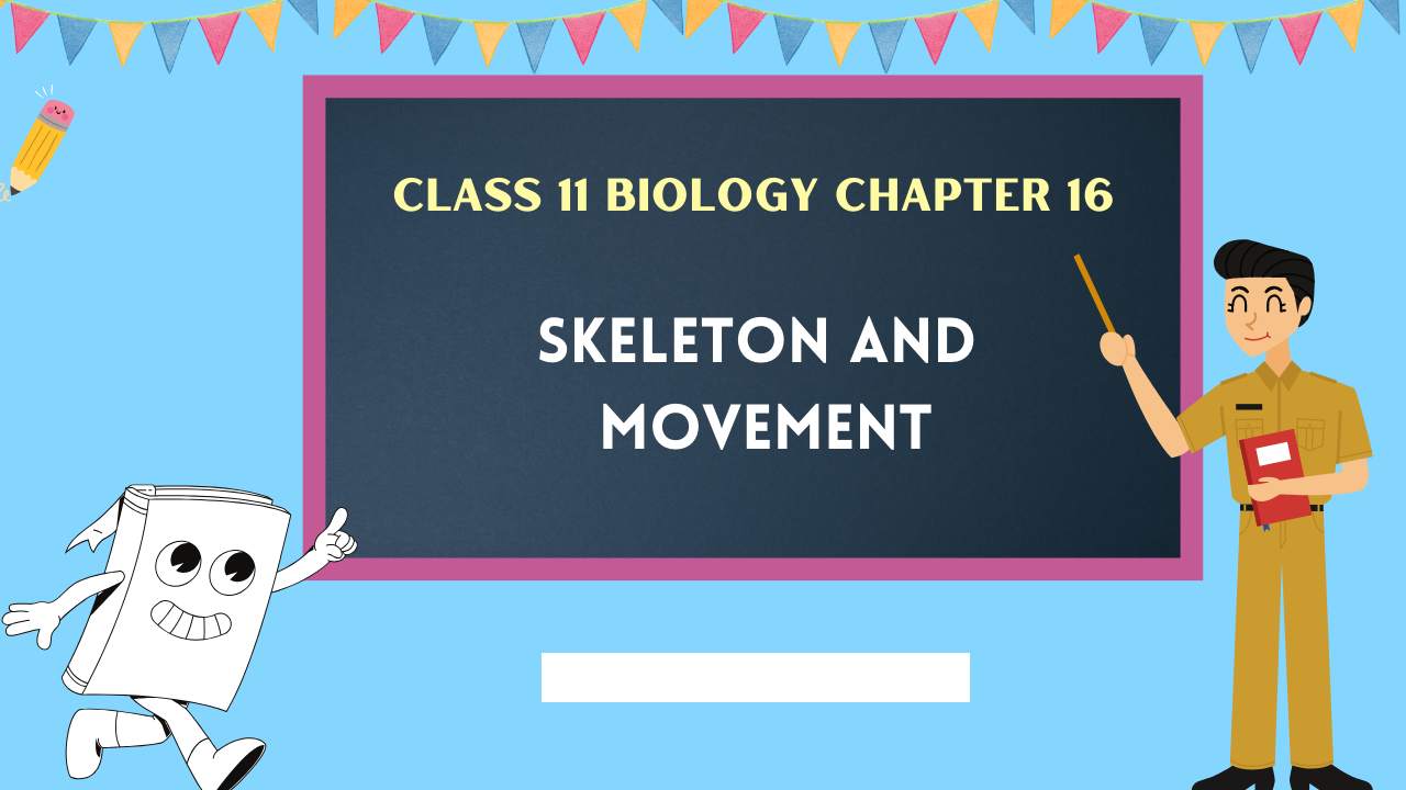 Class-11-Biology-Chapter-16