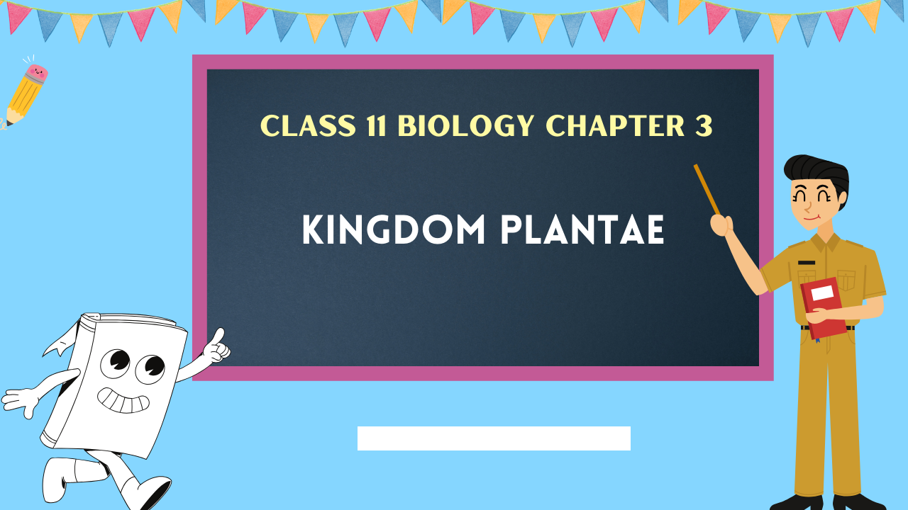 Class-11-Biology-Chapter-3
