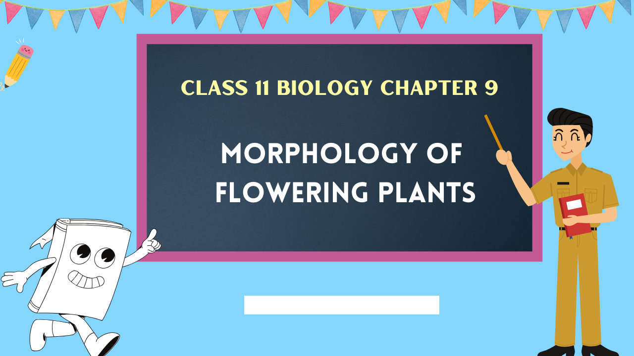 Class-11-Biology-Chapter-9