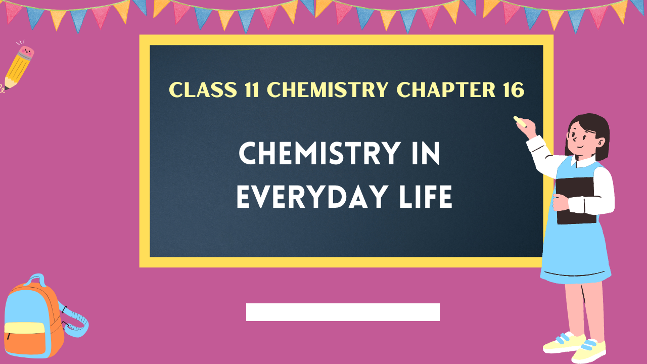 Class-11-Chemistry-Chapter-16