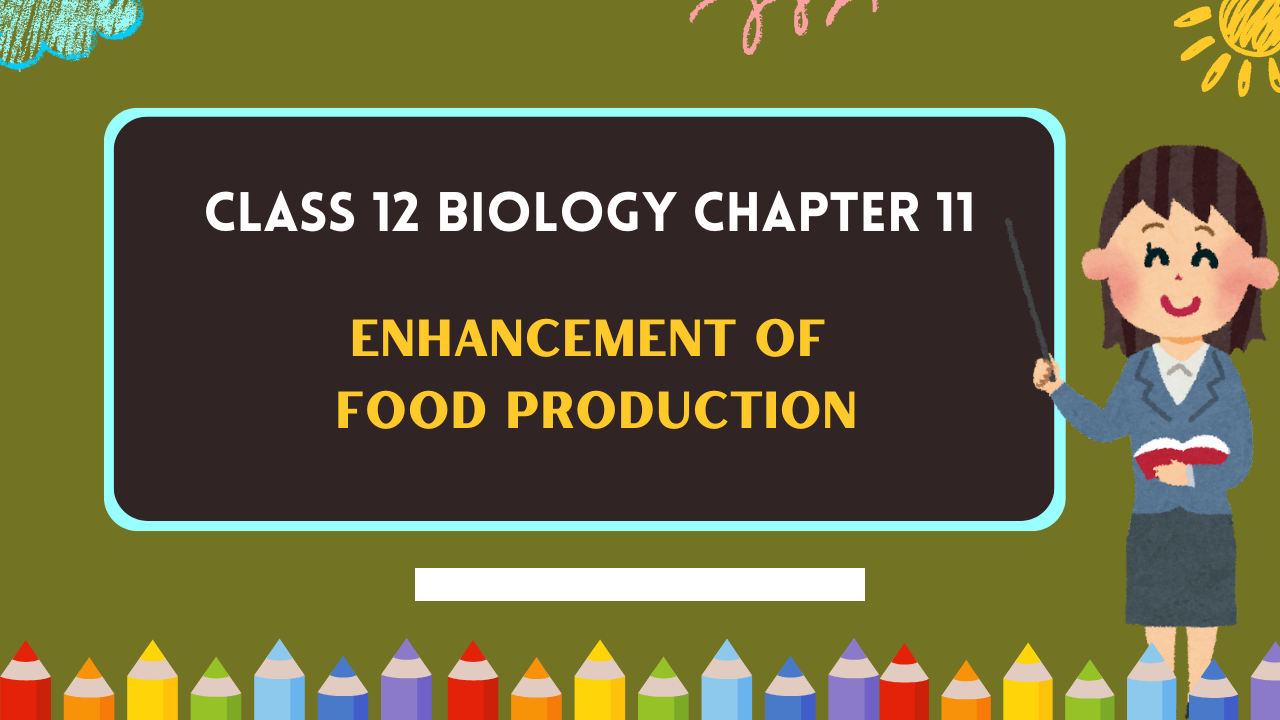 Class-12-Biology-Chapter-11
