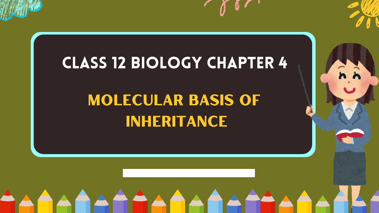 Class-12-Biology-Chapter-4
