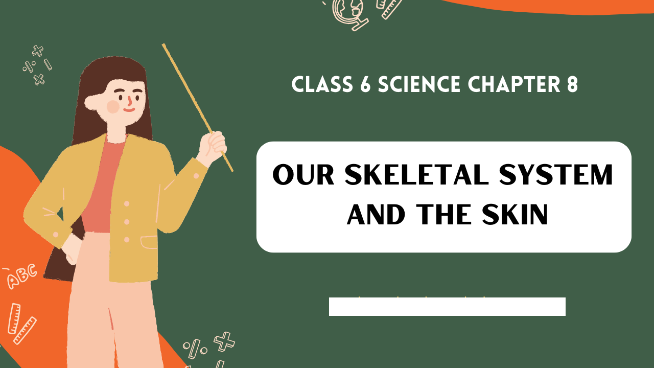 Class-6-Science-Chapter-8