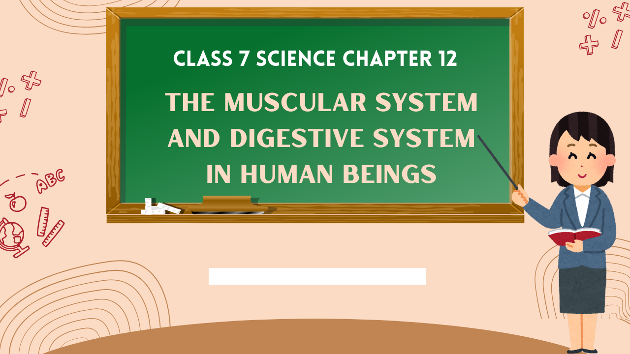 Class-7-Science-Chapter-12