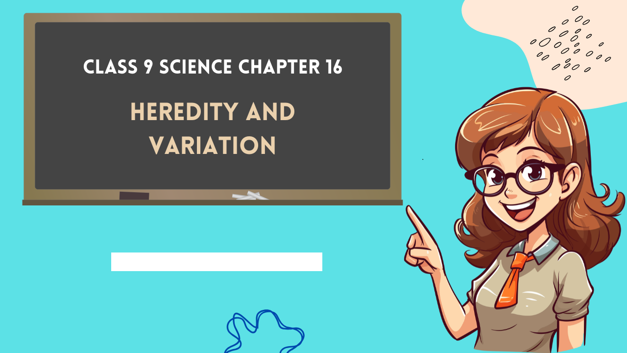 Class-9-Science-Chapter-16