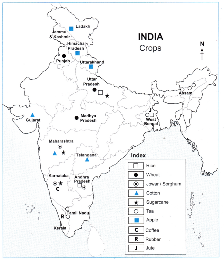 Maharashtra-Board-Class-10-Geography-Solutions-Chapter-8-Economy-and-Occupations-11