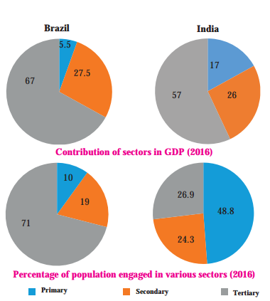 Maharashtra-Board-Class-10-Geography-Solutions-Chapter-8-Economy-and-Occupations-2