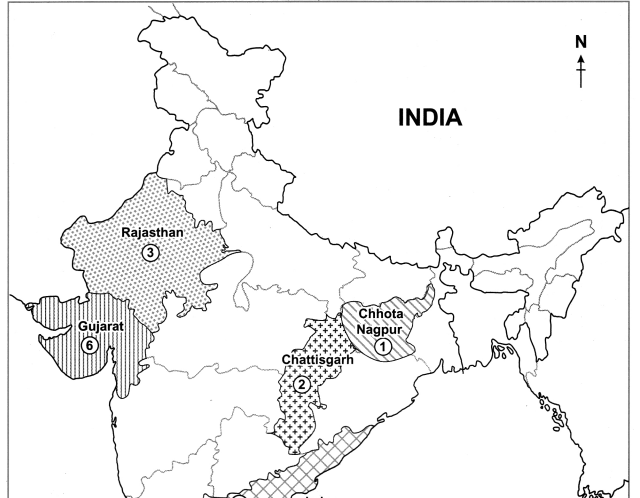 Maharashtra-Board-Class-10-Geography-Solutions-Chapter-8-Economy-and-Occupations-25