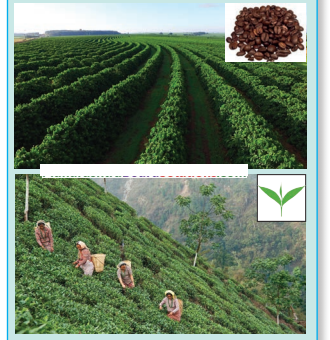 Maharashtra-Board-Class-10-Geography-Solutions-Chapter-8-Economy-and-Occupations-9
