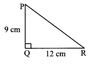 Maharashtra-Board-Class-10-Maths-Solutions-Chapter-2-Pythagoras-Theorem-Problem-Set-2-26