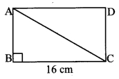 Maharashtra-Board-Class-10-Maths-Solutions-Chapter-2-Pythagoras-Theorem-Problem-Set-2-30