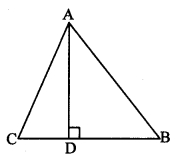 Maharashtra-Board-Class-10-Maths-Solutions-Chapter-2-Pythagoras-Theorem-Problem-Set-2-38