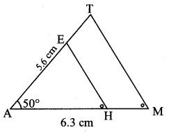 Maharashtra-Board-Class-10-Maths-Solutions-Chapter-4-Geometric-Constructions-Practice-Set-4.1-14