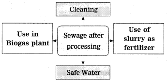 Maharashtra-Board-Class-10-Science-Solutions-Part-2-Chapter-7-Introduction-to-Microbiology-2