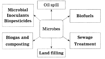 Maharashtra-Board-Class-10-Science-Solutions-Part-2-Chapter-7-Introduction-to-Microbiology-6