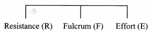 Maharashtra-Board-Class-11-Biology-Solutions-Chapter-16-Skeleton-and-Movement-21