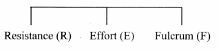 Maharashtra-Board-Class-11-Biology-Solutions-Chapter-16-Skeleton-and-Movement-23