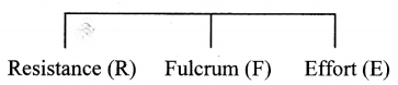Maharashtra-Board-Class-11-Biology-Solutions-Chapter-16-Skeleton-and-Movement-25