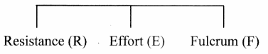 Maharashtra-Board-Class-11-Biology-Solutions-Chapter-16-Skeleton-and-Movement-27