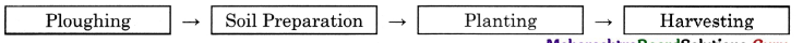 Maharashtra-Board-Class-11-English-Yuvakbharati-Solutions-Chapter-2.2-The-Sower-1