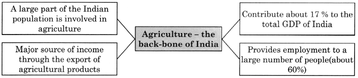 Maharashtra-Board-Class-11-English-Yuvakbharati-Solutions-Chapter-2.2-The-Sower-3
