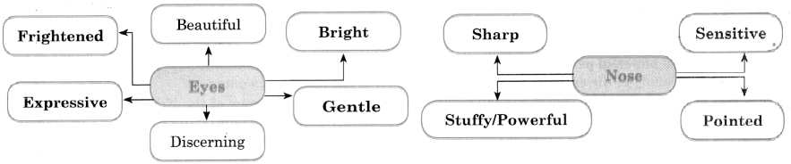 Maharashtra-Board-Class-11-English-Yuvakbharati-Solutions-Chapter-2.5-Nose-Versus-Eyes-2