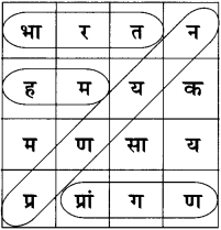 Maharashtra-Board-Class-11-Hindi-Yuvakbharati-Solutions-Chapter-7-स्वागत-है-8