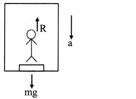 Maharashtra-Board-Class-11-Physics-Solutions-Chapter-4-Laws-of-Motion-13
