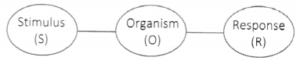 Maharashtra-Board-Class-11-Psychology-Solutions-Chapter-1-Story-of-Psychology-3-Q2-300x61