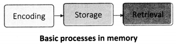 Maharashtra-Board-Class-11-Psychology-Solutions-Chapter-8-Memory-6-Q1