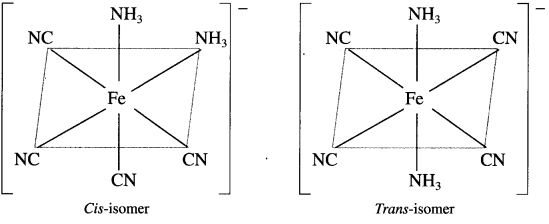 Maharashtra-Board-Class-12-Chemistry-Solutions-Chapter-9-Coordination-Compounds-9