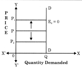Maharashtra-Board-Class-12-Economics-Solutions-Chapter-3B-Elasticity-of-Demand-2