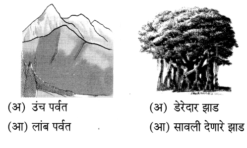 Maharashtra-Board-Class-6-Marathi-Solutions-Chapter-8-कुंदाचे-साहस-10