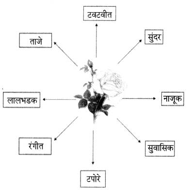 Maharashtra-Board-Class-6-Marathi-Solutions-Chapter-8-कुंदाचे-साहस-7
