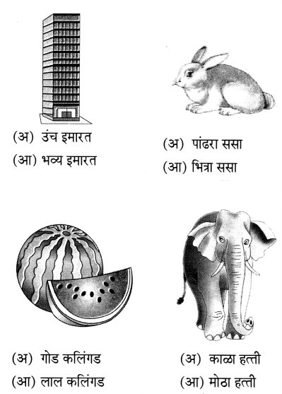 Maharashtra-Board-Class-6-Marathi-Solutions-Chapter-8-कुंदाचे-साहस-8