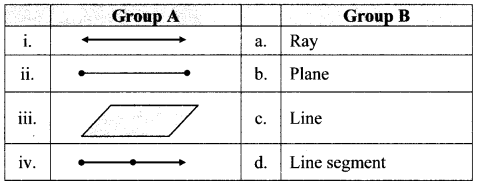 Maharashtra-Board-Class-6-Maths-Solutions-Chapter-1-Basic-Concepts-in-Geometry-Practice-Set-1-3