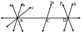 Maharashtra-Board-Class-6-Maths-Solutions-Chapter-1-Basic-Concepts-in-Geometry-Practice-Set-1-4