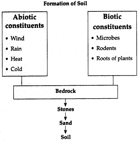 Maharashtra-Board-Class-6-Science-Solutions-Chapter-1-Natural-Resources-Air-Water-and-Land-1
