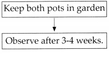 Maharashtra-Board-Class-7-Science-Solutions-Chapter-11-Cell-Structure-and-Micro-organisms-1