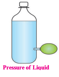 Maharashtra-Board-Class-8-Science-Solutions-Chapter-3-Force-and-Pressure-1