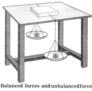 Maharashtra-Board-Class-8-Science-Solutions-Chapter-3-Force-and-Pressure-13