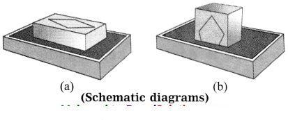 Maharashtra-Board-Class-8-Science-Solutions-Chapter-3-Force-and-Pressure-17
