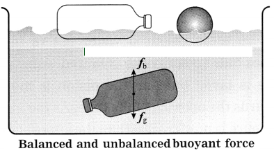 Maharashtra-Board-Class-8-Science-Solutions-Chapter-3-Force-and-Pressure-23