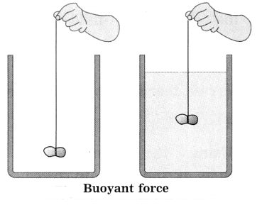 Maharashtra-Board-Class-8-Science-Solutions-Chapter-3-Force-and-Pressure-24
