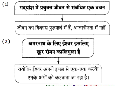 Maharashtra-Board-Class-9-Hindi-Lokbharti-Solutions-Chapter-10-अपराजेय-17