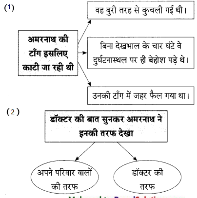 Maharashtra-Board-Class-9-Hindi-Lokbharti-Solutions-Chapter-10-अपराजेय-8