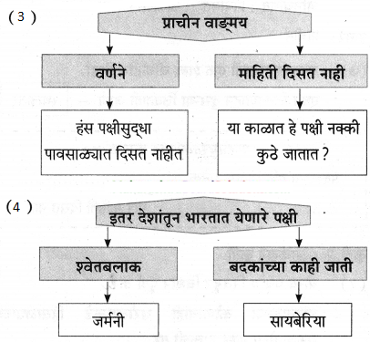 Maharashtra-Board-Class-9-Marathi-Aksharbharati-Solutions-Chapter-11-आभाळातल्या-पाऊलवाटा-10
